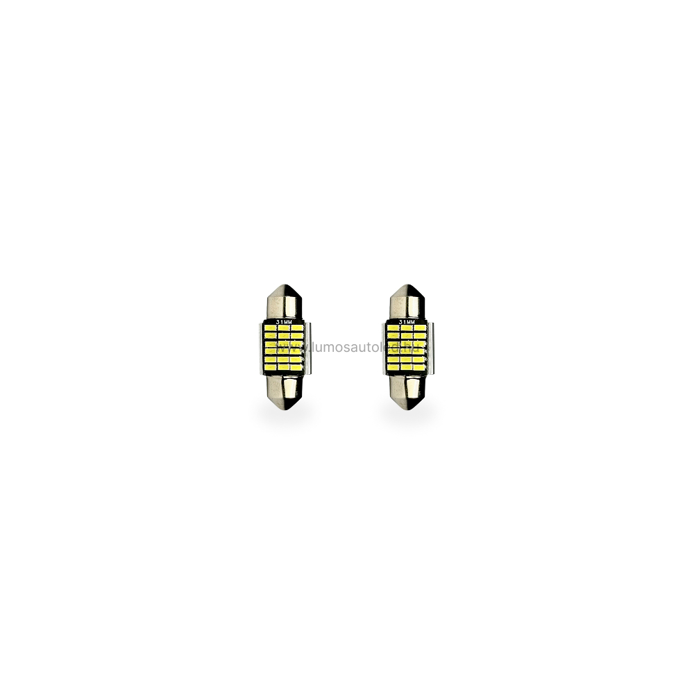 C5W 31mm LED